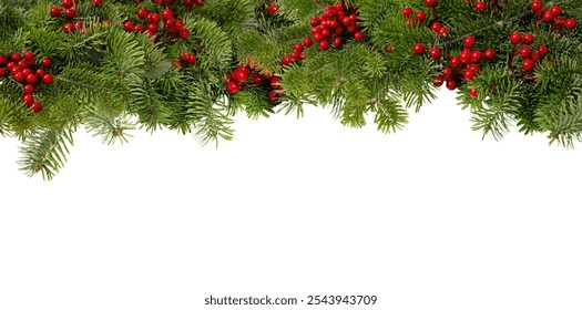 Christmas tree border and red holly berries decoration isolated on white, Xmas festive garland, top view - Powered by Shutterstock