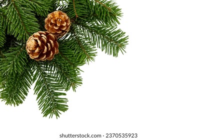 Christmas tree branch and golden cones isolated on white transparent, Xmas spruce, green fir pine twig - Shutterstock ID 2370535923