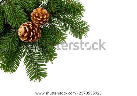 Christmas tree branch and golden cones isolated on white transparent, Xmas spruce, green fir pine twig