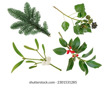 Christmas tree branch, mistletoe branch with white berries,Christmas holly branch and Ivy decoration plants set isolated on white - Powered by Shutterstock