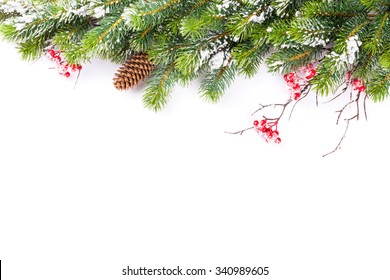 60,405 Pine cone berries Images, Stock Photos & Vectors | Shutterstock