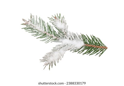 Christmas tree branch with snow on isolated white background. Winter holiday element for greeting card, design invitation - Powered by Shutterstock