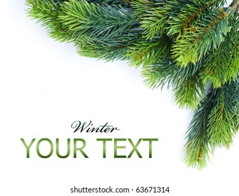 Christmas Tree Branches Border Over White