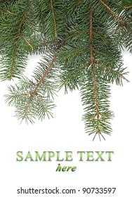 Christmas tree branches border over white background (with sample text)