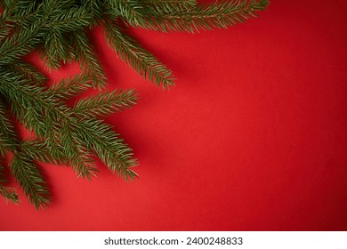 Christmas tree branches on a red background. Concept of New Year holidays. Empty space in the photo.
