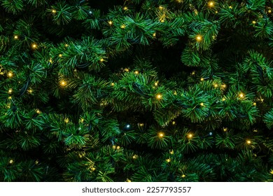 Christmas tree close up in dark green tones background - Powered by Shutterstock