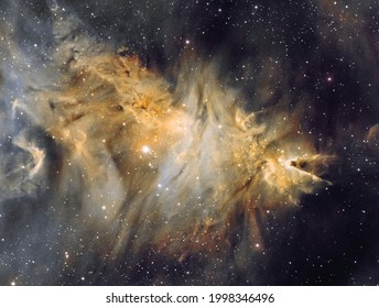 Christmas Tree Cluster, NGC 2264 is the location where the Cone Nebula, the Stellar Snowflake Cluster and the Christmas Tree Cluster have formed in this emission nebula. 