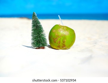 Christmas Tree And Coconut On The Sandy Beach Background