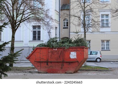 Christmas tree collection in a city after holidays. Bio waste after Christmas.