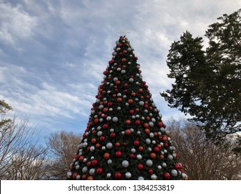 Christmas Tree In Dallas Texas