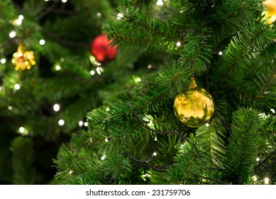 Christmas Tree With Decoration, Detail Christmas Tree In Garden