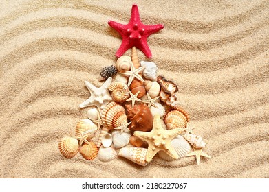 Christmas tree with different seashells on the sea sand. Creative Christmas background - Powered by Shutterstock