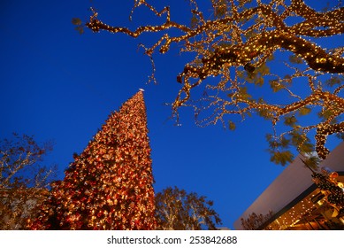 A Christmas Tree In Downtown Southern California