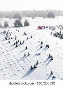 Christmas Tree Farm Aerial View