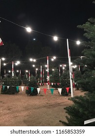 Christmas Tree Farm Lit Up At Night With String Lights