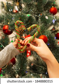 Christmas tree with festive decoration on background with candy canes on the front. Christmas candy in shape of heart in Mom and child hands.