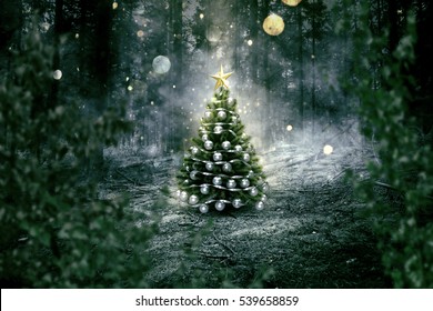 Christmas Tree In The Forest 