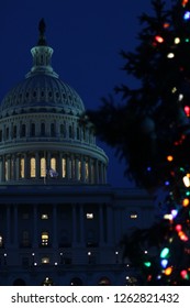 Christmas Tree In Front Of The Dome Of Capitol Building, Washington DC, USA