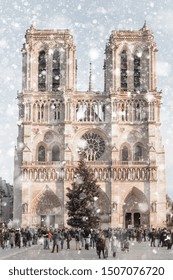 Christmas tree in front of Notre Dame cathedral in Paris, France in gloomy winter day in snowstorm. Pastel trendy toning. Beautiful inspiring moody faded scenery