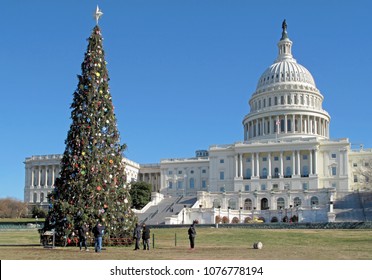 Christmas Tree In Front Of United States Capitol Building In Washington DC, District Of Columbia, USA.