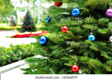 Christmas Tree In Garden