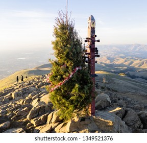 A Christmas Tree Hauled To The Top Of A Mountain Top That Overlooks San Jose California And Souther Valley