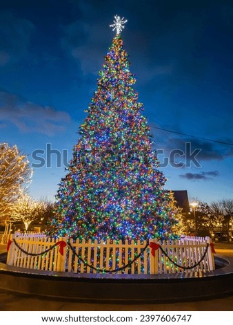 Christmas tree and holiday lights at night in Shain Park in downtown Birmingham, Michigan,  a suburb of Detroit in Oakland County Stock photo © 