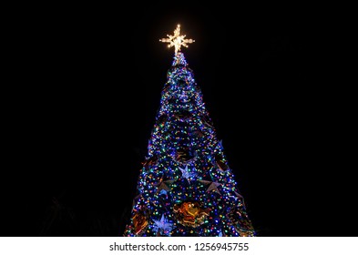 311 Christmas At Honolulu Images, Stock Photos & Vectors | Shutterstock