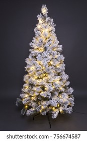 Christmas tree isolated - Christmas decoration - Christmas tree 