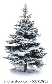 Christmas Tree - Isolated over White background