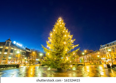Christmas tree light in oslo city Norway