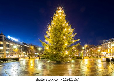 Christmas Tree Light In Oslo City Norway