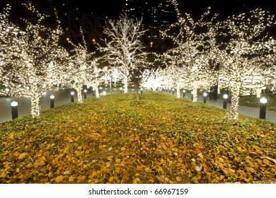 Christmas Tree Lights In New York City