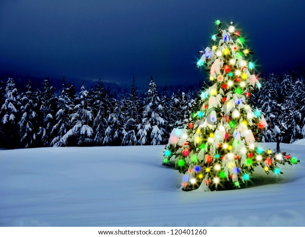 Christmas Tree Lights Outdoors Snow Stock Photo (Edit Now) 120401260