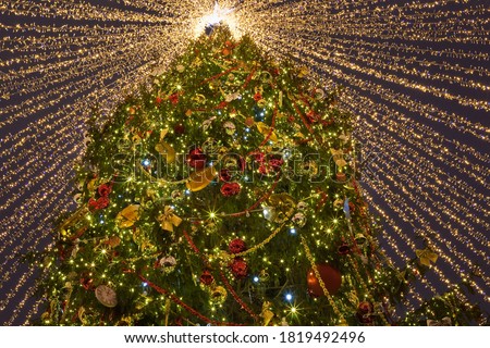 Christmas tree in Moscow decorated with balls, ribbons, garlands, twinkling lights and gifts. Shooting from a bottom point. Garlands of golden lights spread out from the top of the tree.
