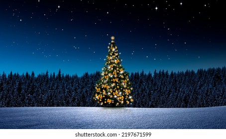 Christmas tree at night in winter