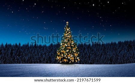 Christmas tree at night in winter