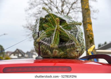 Christmas Tree On Auto Roof At The Side