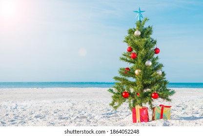 Florida Christmas Images, Stock Photos &amp; Vectors | Shutterstock