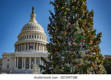 Christmas Tree On Capitol Building Background In Washington, DC,USA 