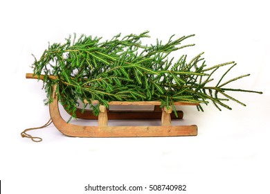 Christmas Tree On A Old Wooden Sledge Isolated On White Background