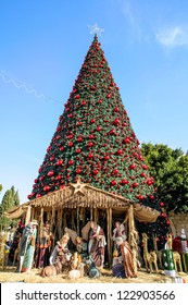 Christmas Tree On The Square Of Bethlehem, Palestine