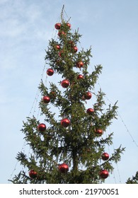 Christmas Tree Outdoor In Daytime, Close Up