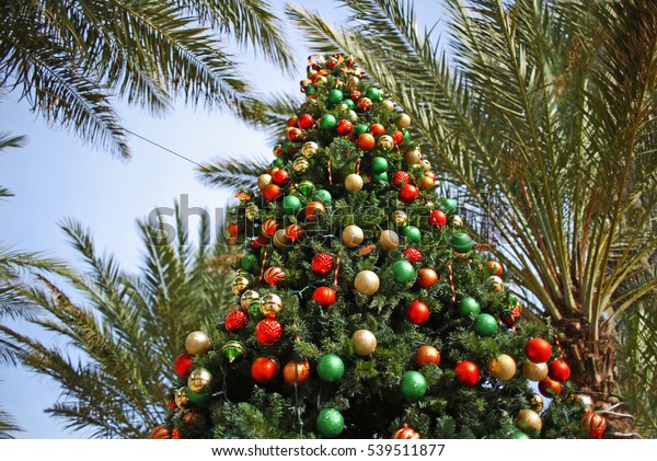 Christmas Tree Palm Trees Decorated Tropical Stock Photo (Edit Now) 539511877