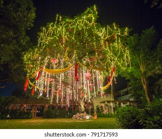 Christmas Tree With Presents, South Goa In India