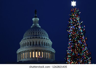 Christmas Tree To The Right Of The Dome Of Capitol Building, Washington DC, USA