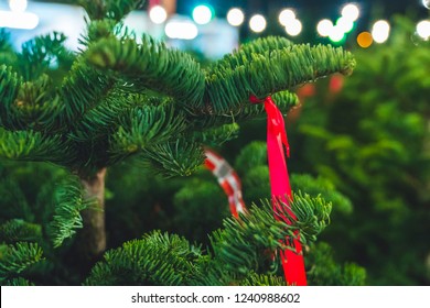 Christmas Tree Sale At Night.