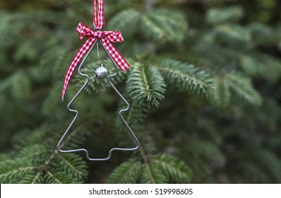 Christmas Tree Shape On Real Pine Tree. Christmas Tree Miniature Shape On Branch. 