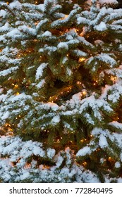 Christmas tree in snow with Christmas lights