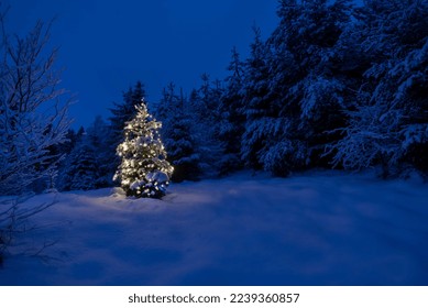 Christmas tree in the snowy landscape glowing by night